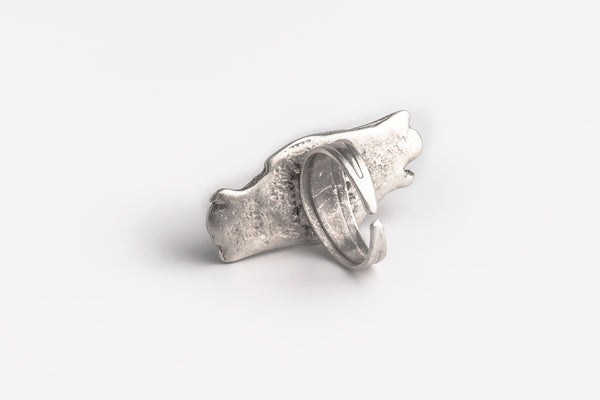 Sharing The Flame Ring